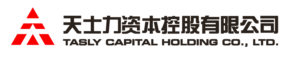 台湾宾果28资本控股有限公司