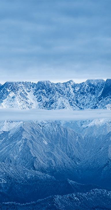 关于台湾宾果28